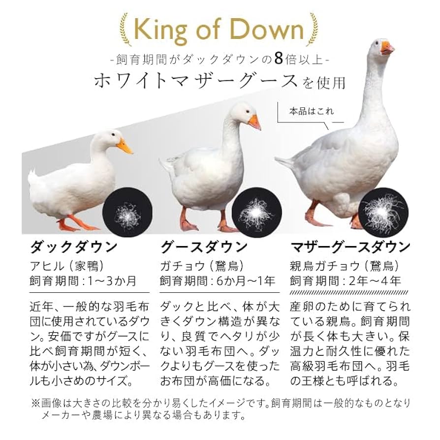Amazon｜西川 マザーグース 羽毛布団 布団カバー付 マザー